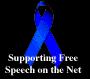 Free Speech on the Web