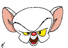 The Brain